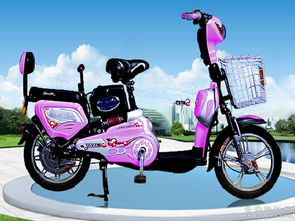 供應(yīng)全新原裝新日電 新日電動(dòng)車 飛越2號(hào)