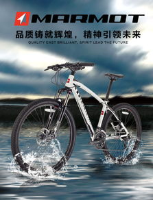MARMOT土撥鼠單車 自行車文化是自行車產(chǎn)業(yè)發(fā)展強(qiáng)大動(dòng)力