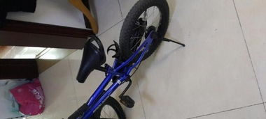 圖 優貝16兒童自行車 北京二手母嬰兒童用品