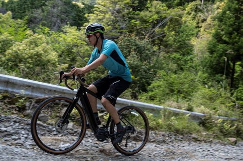 管內(nèi)電池自行車 電動皮卡 電動拖拉機(jī),新產(chǎn)品正在集中爆發(fā)