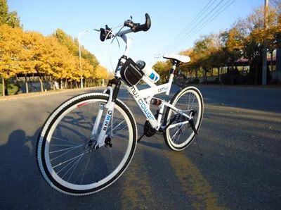 電動(dòng)自行車(chē)之都，蚌埠的產(chǎn)業(yè)榮耀與未來(lái)展望